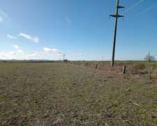 250 Ha Sobre Ruta 12. Buena Aptitud Agrícola