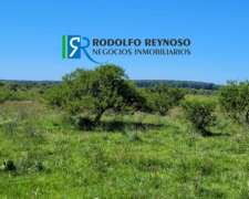 105 Hectáreas Forestales-ganaderas en Entre Ríos