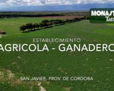 San Javier - 1250has