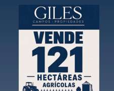 121 Hectáreas Agrícolas en San Pedro