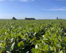 “campo en Venta con Alto Rendimiento Agrícola – Ideal Invers