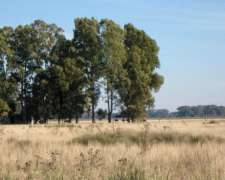 Vendo Campo las Flores