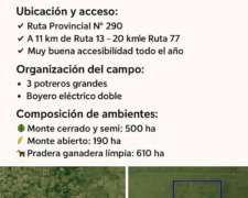 Alquilo ya 1,300 Hectareas de Campo Ganadero