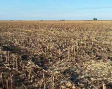 Carro Quemado la Pampa Argentina