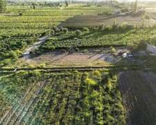 Vende Finca De 5 Hectáreas 5.094 M2 - D° De Riego - Junin