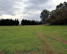 140 Ha Mascota, Villarino