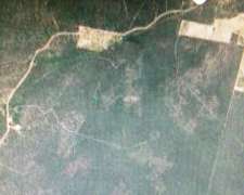 Campo con Bosque Nativo en Santiago del Estero, Permutas