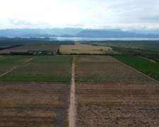 400 Has Agrícolas en Moldes