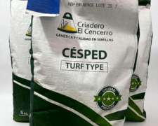 Semilla Cesped Rye Grass Anual X 5kg