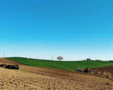 Venta De Campo Mixto En Balcarce - 1000 Ha