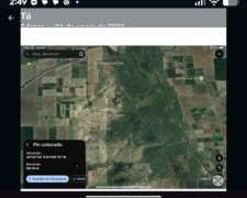 1100 Hectáreas Ganaderas Dueño Directo Sobre Ruta