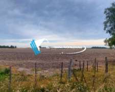 238 Hectáreas en Venta, en la Ciudad de Suipacha