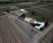Vende Hermosa Finca 85ha Y Fabrica De Aceite De Oliva
