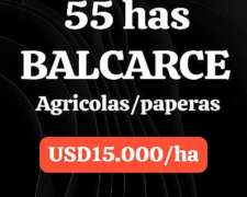 Campo en Zona de Balcarce