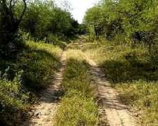 Se Vende Campo en Colonia Dora Monte Virgen a Desrrollar.