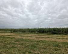 350 Hectareas Bolivar Venta