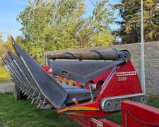 Maicero Mainero 2008 de 16 a 52