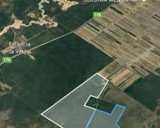 Vendo Campo de 1000 Has en Dpto Jimenez - SGO del Estero