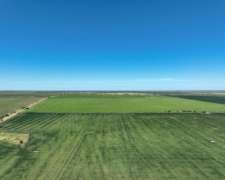 Pcia. de San Luis - Eleodoro Lobos 905 Has