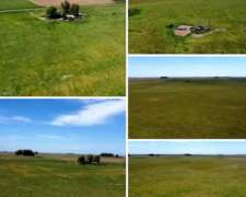 Campo en Venta en Rauch para Ganadería
