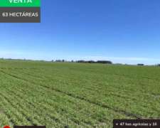 Campo Mixto de 63 Hectáreas en General Rojo