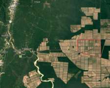 2.500 Has Agrícolas Sobre Ruta Bioceánica
