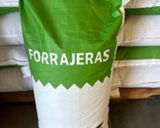 Moha Carape Inta Plus