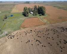 Campo En Venta De 324 Has En General Alvear. Mixto
