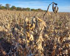 Oportunidad de Inversion. Campo Agricola