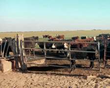 2.500 Ha muy Buena Estancia Algarrobo, Buenos Aires