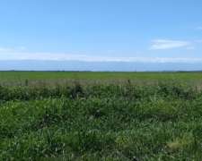 Dpto. Junín - 500 Ha - San Luis