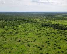 Formosa Ofrece 10.000 Has. Oportunidad Única