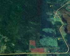 Se Vende Chacra de 82 Ha San Javier Misiones