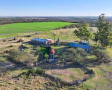 Pcia. de Entre Rios - San Jose de Feliciano 1960 Ha