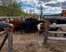 20.500 Ha Excepcional Estancia en Chubut