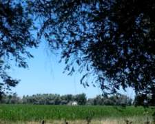 35 Has Agrícola Arboledas Haras Ruta 8