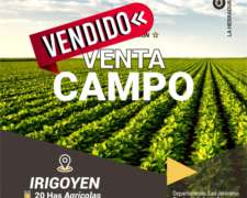 Irigoyen 20 Has Agrícolas. Retasado. Campo en Venta