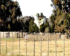 720 Has Campo en Venta en General Guido. Estancia Formada