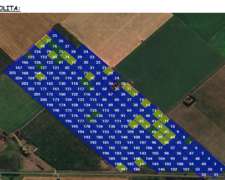 Generación de Prescripciones de Cebo para Babosas y BB