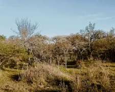 Se Venden 300 Has en las Isletas, S. L.