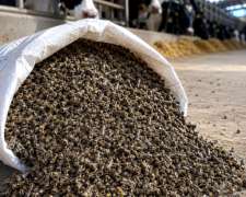 Pellet De Descarte De Poroto, Arveja Y Garbanzo