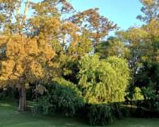 55 Has muy Buen Casco y Arboledas Añosas