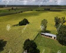 Campo en Venta de 55 Has en San Miguel del Monte.