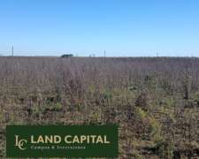 727 Ha-ganadero -villa Gesell-sobre R11
