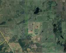 Se Vende Campo Ganadero/agricola Ceres (santa FE)