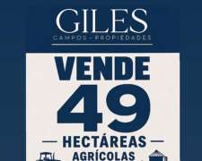 49 Hectáreas Agrícolas En San Pedro.