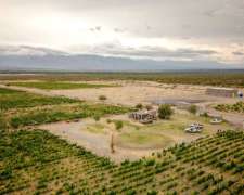 Pcia. de Salta - San Carlos 315 Ha