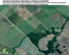 Excelente Campo Mixto Agricola, Balcarce,. BS AS. Consultar