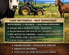 Vendo Campo Zona Dorrego 2000 Has Excelente