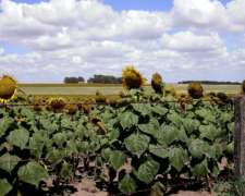 3200ha en Tostado STA FE 30 Porciento Boleto Saldo 5 Años